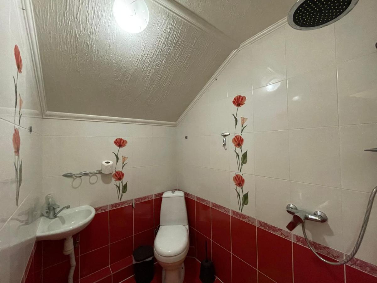 Villa Aeroport Розовый Дом 키시나우 외부 사진